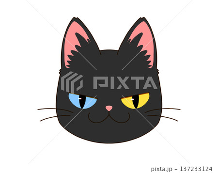 怒り顔で正面を向いている黒猫3/4 怒り顔で正面を向いている黒猫3/4 137233124