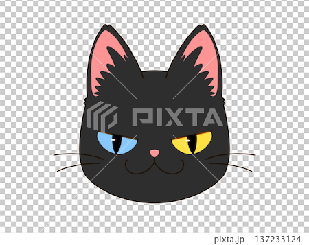 怒り顔で正面を向いている黒猫3/4 怒り顔で正面を向いている黒猫3/4 137233124
