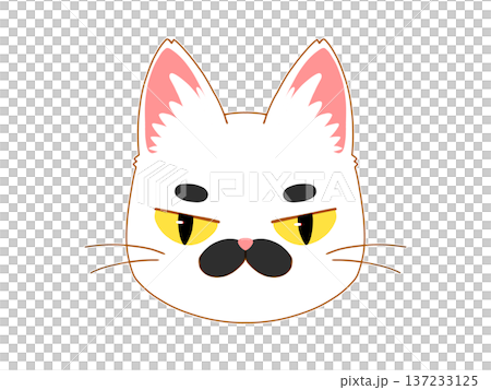 黑白貓正面朝前，表情憤怒 4/4 137233125