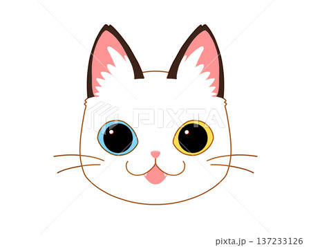 正面を向いている白茶の猫1/4 正面を向いている白茶の猫1/4 137233126