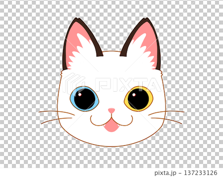 四分之一白棕色貓咪，面向前方 137233126