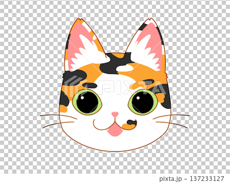 三色貓面向前方 2/4 137233127