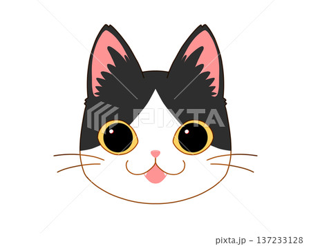 正面を向いているハチワレの猫3/4 137233128