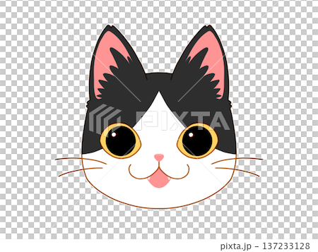 正面を向いているハチワレの猫3/4 137233128