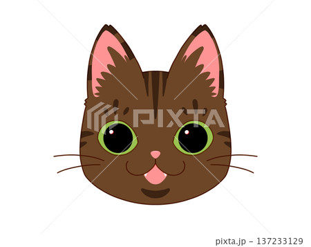 正面を向いているサビ猫4/4 137233129