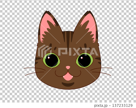 正面を向いているサビ猫4/4 137233129