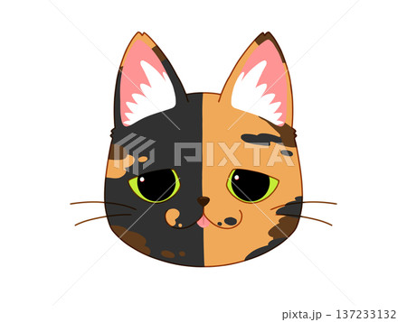 タレ目のサビ猫3/4 137233132