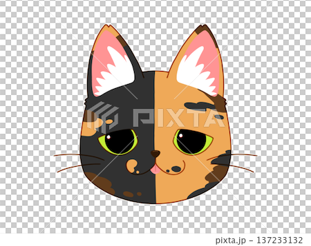 タレ目のサビ猫3/4 137233132