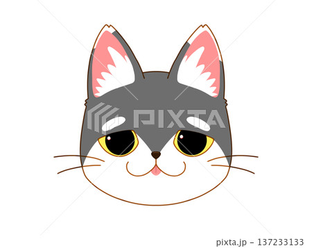 タレ目のサバ白の猫4/4 タレ目のサバ白の猫4/4 137233133