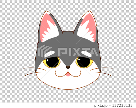 タレ目のサバ白の猫4/4 タレ目のサバ白の猫4/4 137233133