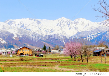 4月の白馬村 春の白馬村の風景 冠雪の北アルプス 信州の風景 4月の白馬村 春の白馬村の風景 冠雪の北アルプス 信州の風景 137233382