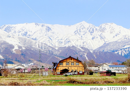 4月の白馬村 春の白馬村の風景 冠雪の北アルプス 信州の風景 4月の白馬村 春の白馬村の風景 冠雪の北アルプス 信州の風景 137233390