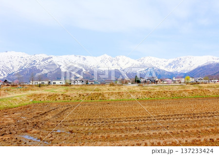 4月の白馬村 春の白馬村の風景 冠雪の北アルプス 信州の風景 4月の白馬村 春の白馬村の風景 冠雪の北アルプス 信州の風景 137233424