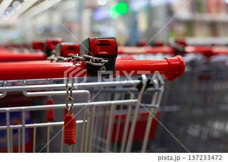 Concept art of failed supermarket theft. Cart is chained and locked to another cart. Grocery theft news. Preventing supermarket theft with cart security locks. Safe environment in grocery store Concept art of failed supermarket theft. Cart is chained and locked to another cart. Grocery theft news. Preventing supermarket theft with cart security locks. Safe environment in grocery store 137233472