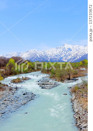 4月の白馬村 春の白馬村の風景 冠雪の北アルプス 信州の風景 4月の白馬村 春の白馬村の風景 冠雪の北アルプス 信州の風景 137233672