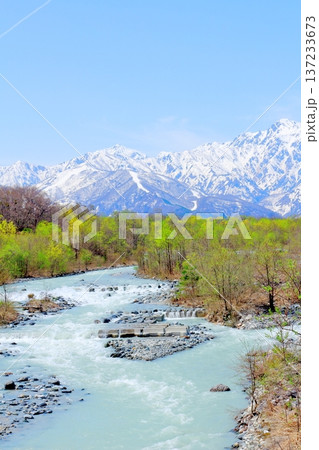 4月の白馬村　　　春の白馬村の風景　　　冠雪の北アルプス　　　信州の風景 137233673
