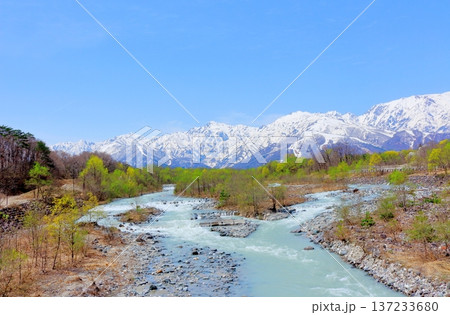 4月の白馬村 春の白馬村の風景 冠雪の北アルプス 信州の風景 4月の白馬村 春の白馬村の風景 冠雪の北アルプス 信州の風景 137233680