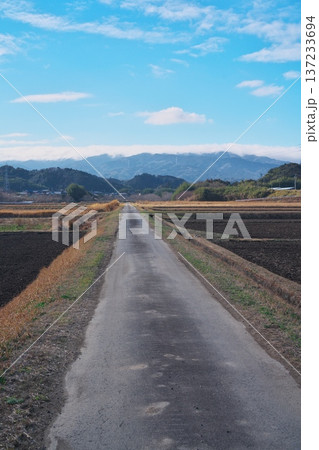 空色と春一番の風に覆われた青山高原を津市一色町から望む 空色と春一番の風に覆われた青山高原を津市一色町から望む 137233694
