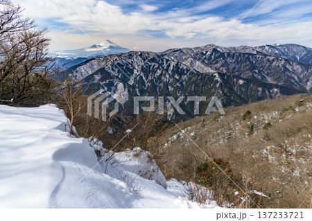 積雪した東丹沢表尾根と富士山【大山から】 積雪した東丹沢表尾根と富士山【大山から】 137233721