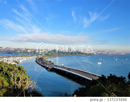 オークランドの海岸線とハーバーブリッジを望む都市風景 137233898