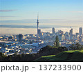 朝霧に包まれたオークランドの街並みとスカイタワーの絶景 137233900