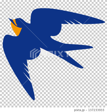 Cute swallow illustration Cute swallow illustration 137233933