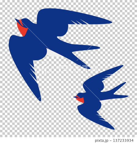ツバメ2羽のかわいいイラスト 137233934