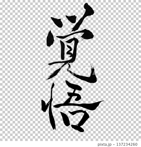 Determination - Unwavering Determination 137234260