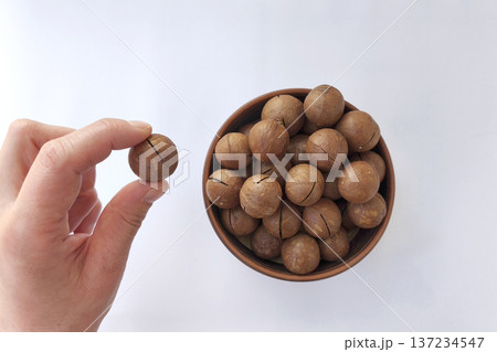 Hand holding a macadamia nut next to a bowl filled with whole nuts on a clean white background. Healthy snack, organic food, minimal composition, and natural nutrition concept Hand holding a macadamia nut next to a bowl filled with whole nuts on a clean white background. Healthy snack, organic food, minimal composition, and natural nutrition concept 137234547