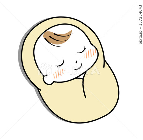 おくるみに包まれて寝る赤ちゃん おくるみに包まれて寝る赤ちゃん 137234643