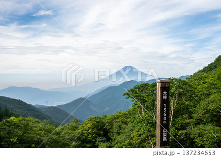 大峠から見る夏の富士山 大峠から見る夏の富士山 137234653