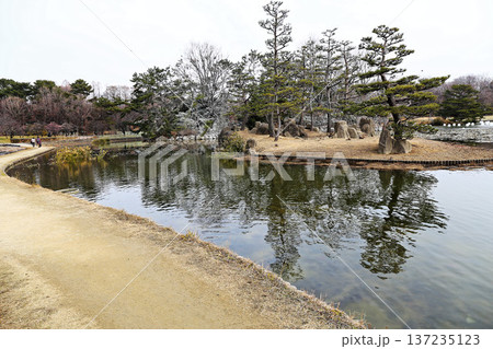 冬の長居公園・大池に浮かぶ島と静かな水路の風景 冬の長居公園・大池に浮かぶ島と静かな水路の風景 137235123
