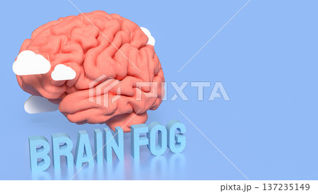 Brain Fog Concept with 3D Brain and Clouds. Brain Fog Concept with 3D Brain and Clouds. 137235149