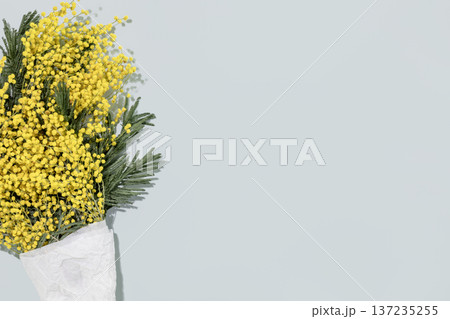 Spring Mimosa Bouquet Wrapped In White Paper On light Blue Background 137235255