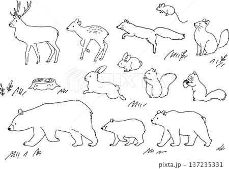 シンプルでかわいい手描きの動物イラストセット シンプルでかわいい手描きの動物イラストセット 137235331