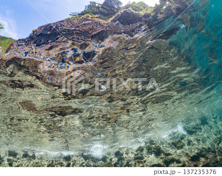 イトヒキアジ幼魚。水面を泳ぐ。ヒリゾ浜南伊豆町中木 静岡県伊豆半島-2025 日本有数のシュノーケリ イトヒキアジ幼魚。水面を泳ぐ。ヒリゾ浜南伊豆町中木 静岡県伊豆半島-2025 日本有数のシュノーケリ 137235376