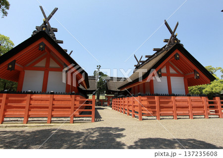 住吉大社 大阪府 住吉大社 大阪府 137235608