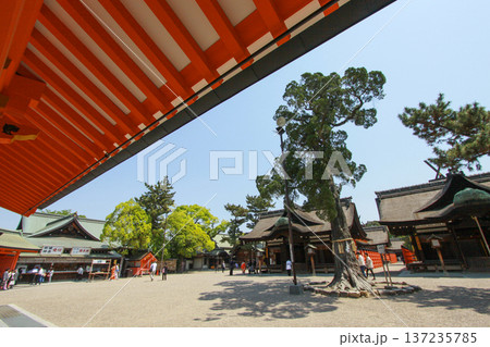 住吉大社 大阪府 137235785