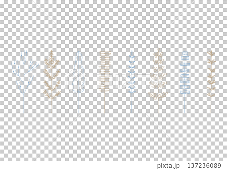 Hand-drawn line drawing illustration set 1 (blue and brown) of plants such as ferns and cycads Hand-drawn line drawing illustration set 1 (blue and brown) of plants such as ferns and cycads 137236089