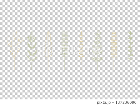 手繪線條畫插圖集 1(黃色和綠色),描繪了蕨類植物和蘇鐵等植物。 手繪線條畫插圖集 1(黃色和綠色),描繪了蕨類植物和蘇鐵等植物。 137236090