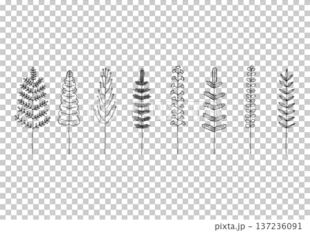 Hand-drawn line drawing illustration set 2 (black) of plants such as ferns and cycads Hand-drawn line drawing illustration set 2 (black) of plants such as ferns and cycads 137236091