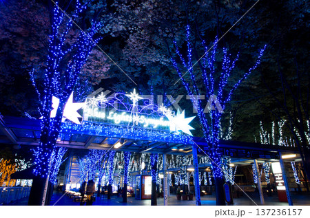 クリスマスイルミネーション 137236157