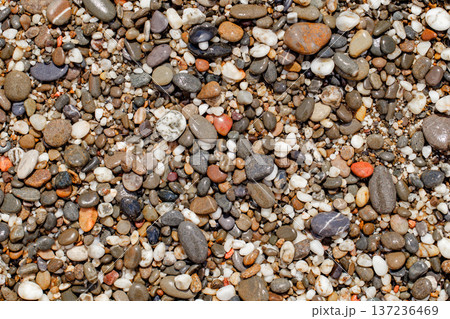 Pebbles polished wet on the beach, close-up, uniform texture background  137236469