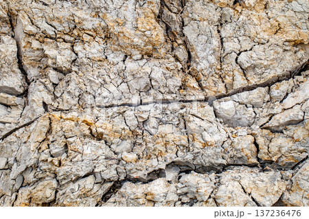 Rock of gray dried cracked clay close-up, background Rock of gray dried cracked clay close-up, background 137236476