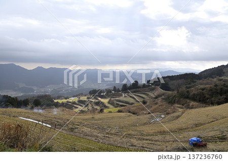 晩冬の岳の棚田 雲間から降り注ぐ光と野焼きの煙 佐賀県有田町 137236760