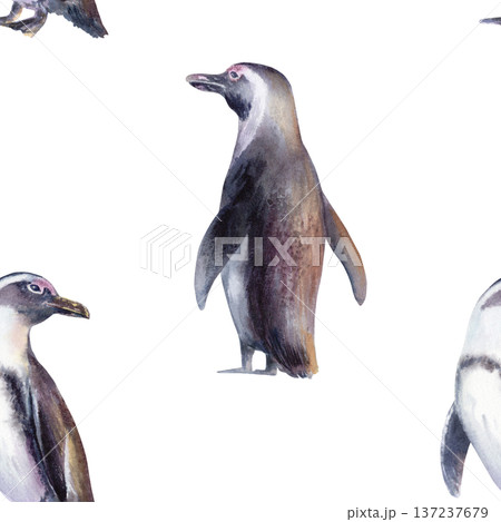 African Jackass Penguin in seamless pattern,Endangered Spectacled Bird of South African and Namibian Coastlines.Hand drawn watercolor illustration,call to preserve an endangered species 137237679