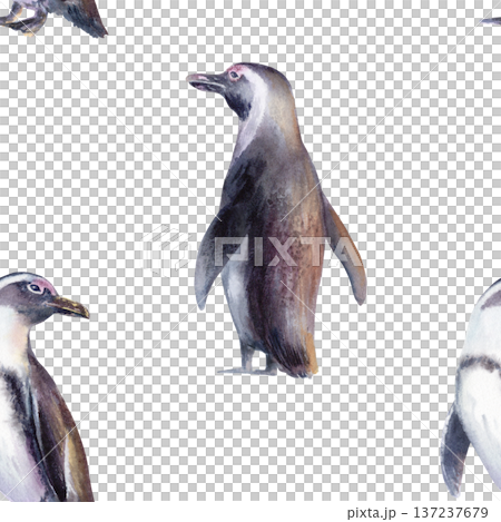 African Jackass Penguin in seamless pattern,Endangered Spectacled Bird of South African and Namibian Coastlines.Hand drawn watercolor illustration,call to preserve an endangered species 137237679