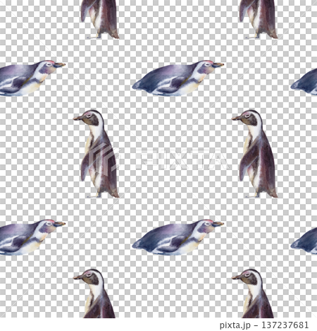 African Jackass Penguin in seamless pattern,Endangered Spectacled Bird of South African and Namibian Coastlines.Hand drawn watercolor illustration,call to preserve an endangered species African Jackass Penguin in seamless pattern,Endangered Spectacled Bird of South African and Namibian Coastlines.Hand drawn watercolor illustration,call to preserve an endangered species 137237681