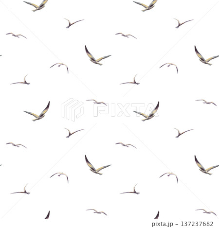 Seagulls in flight,in seamless pattern,silhouetted companions.Hand drawn watercolor clipart in soft sunset washes,coastal backgrounds for nautical branding,travel blogs Seagulls in flight,in seamless pattern,silhouetted companions.Hand drawn watercolor clipart in soft sunset washes,coastal backgrounds for nautical branding,travel blogs 137237682