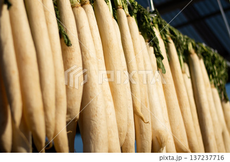 干し大根 干し大根 137237716